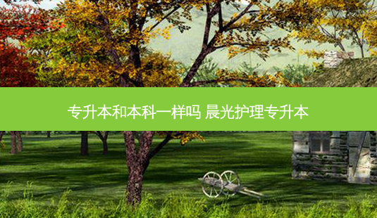 专升本和本科一样吗 晨光护理专升本-第1张图片-天智网 专升本和本科一样吗 晨光护理专升本-第1张图片-天智网