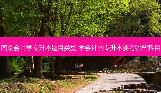南京会计学专升本题目类型 学会计的专升本要考哪些科目-第1张图片-天智网 南京会计学专升本题目类型 学会计的专升本要考哪些科目-第1张图片-天智网