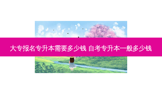 大专报名专升本需要多少钱 自考专升本一般多少钱-第1张图片-天智网 大专报名专升本需要多少钱 自考专升本一般多少钱-第1张图片-天智网