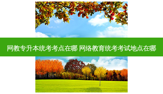 网教专升本统考考点在哪 *** 教育统考考试地点在哪-第1张图片-天智网 网教专升本统考考点在哪 *** 教育统考考试地点在哪-第1张图片-天智网