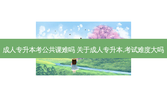 成人专升本考公共课难吗 关于成人专升本,考试难度大吗-第1张图片-天智网 成人专升本考公共课难吗 关于成人专升本,考试难度大吗-第1张图片-天智网