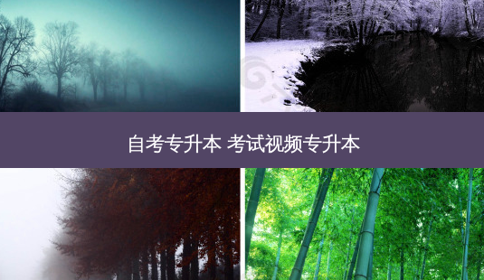 自考专升本 考试视频专升本-第1张图片-天智网 自考专升本 考试视频专升本-第1张图片-天智网