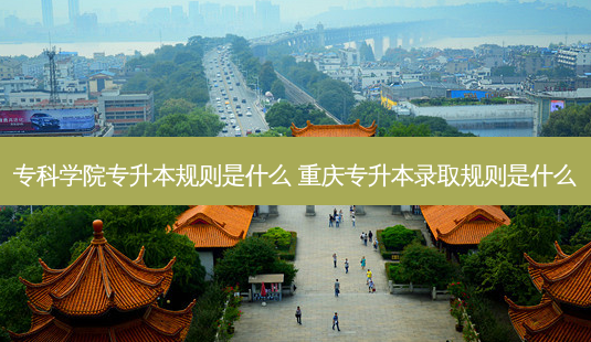专科学院专升本规则是什么 重庆专升本录取规则是什么-第1张图片-天智网 专科学院专升本规则是什么 重庆专升本录取规则是什么-第1张图片-天智网