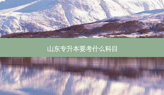 山东专升本要考什么科目-第1张图片-天智网 山东专升本要考什么科目-第1张图片-天智网