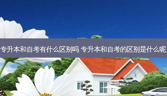 专升本和自考有什么区别吗 专升本和自考的区别是什么呢-第1张图片-天智网 专升本和自考有什么区别吗 专升本和自考的区别是什么呢-第1张图片-天智网