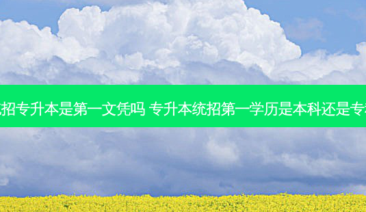 统招专升本是之一文凭吗 专升本统招之一学历是本科还是专科-第1张图片-天智网 统招专升本是之一文凭吗 专升本统招之一学历是本科还是专科-第1张图片-天智网