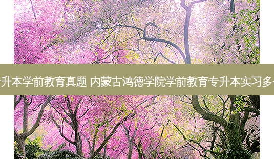 鸿德专升本学前教育真题 内蒙古鸿德学院学前教育专升本实习多长时间-第1张图片-天智网 鸿德专升本学前教育真题 内蒙古鸿德学院学前教育专升本实习多长时间-第1张图片-天智网