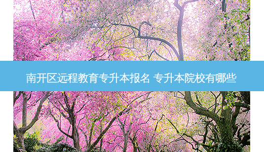 南开区远程教育专升本报名 专升本院校有哪些-第1张图片-天智网 南开区远程教育专升本报名 专升本院校有哪些-第1张图片-天智网