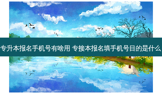 专升本报名手机号有啥用 专接本报名填手机号目的是什么-第1张图片-天智网 专升本报名手机号有啥用 专接本报名填手机号目的是什么-第1张图片-天智网
