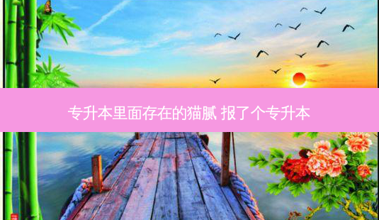专升本里面存在的猫腻 报了个专升本-第1张图片-天智网 专升本里面存在的猫腻 报了个专升本-第1张图片-天智网