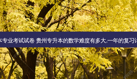 贵州省专升本专业考试试卷 贵州专升本的数学难度有多大,一年的复习计划怎么安排-第1张图片-天智网 贵州省专升本专业考试试卷 贵州专升本的数学难度有多大,一年的复习计划怎么安排-第1张图片-天智网