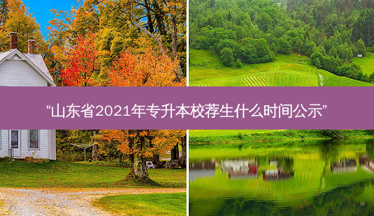 “山东省2021年专升本校荐生什么时间公示”-第1张图片-天智网 “山东省2021年专升本校荐生什么时间公示”-第1张图片-天智网