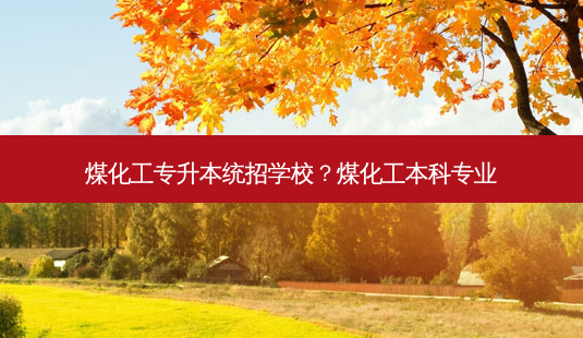 煤化工专升本统招学校?煤化工本科专业-第1张图片-天智网 煤化工专升本统招学校?煤化工本科专业-第1张图片-天智网