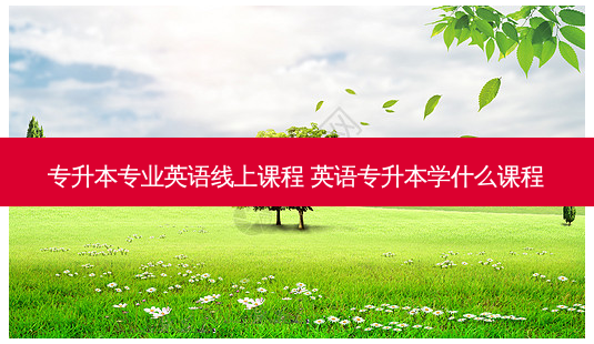 专升本专业英语线上课程 英语专升本学什么课程-第1张图片-天智网 专升本专业英语线上课程 英语专升本学什么课程-第1张图片-天智网