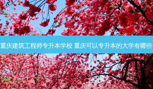 重庆建筑工程师专升本学校 重庆可以专升本的大学有哪些-第1张图片-天智网 重庆建筑工程师专升本学校 重庆可以专升本的大学有哪些-第1张图片-天智网