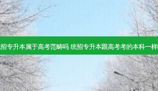 统招专升本属于高考范畴吗 统招专升本跟高考考的本科一样吗-第1张图片-天智网 统招专升本属于高考范畴吗 统招专升本跟高考考的本科一样吗-第1张图片-天智网