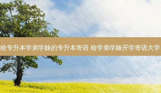 给专升本学弟学妹的专升本寄语 给学弟学妹开学寄语大学-第1张图片-天智网 给专升本学弟学妹的专升本寄语 给学弟学妹开学寄语大学-第1张图片-天智网