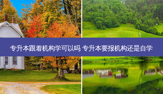 专升本跟着机构学可以吗 专升本要报机构还是自学-第1张图片-天智网 专升本跟着机构学可以吗 专升本要报机构还是自学-第1张图片-天智网