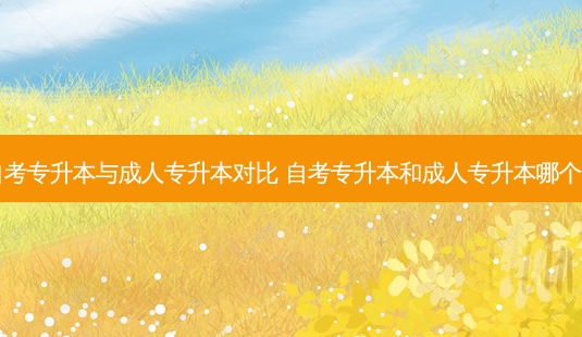 自考专升本与成人专升本对比 自考专升本和成人专升本哪个好-第1张图片-天智网 自考专升本与成人专升本对比 自考专升本和成人专升本哪个好-第1张图片-天智网