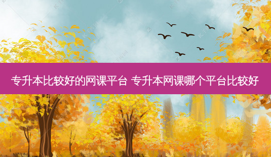 专升本比较好的网课平台 专升本网课哪个平台比较好-第1张图片-天智网 专升本比较好的网课平台 专升本网课哪个平台比较好-第1张图片-天智网