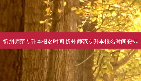 忻州师范专升本报名时间 忻州师范专升本报名时间安排-第1张图片-天智网 忻州师范专升本报名时间 忻州师范专升本报名时间安排-第1张图片-天智网