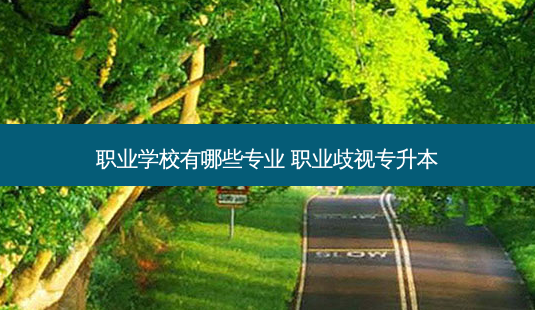 职业学校有哪些专业 职业歧视专升本-第1张图片-天智网 职业学校有哪些专业 职业歧视专升本-第1张图片-天智网