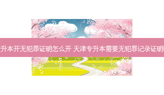 专升本开无犯罪证明怎么开 天津专升本需要无犯罪记录证明吗-第1张图片-天智网 专升本开无犯罪证明怎么开 天津专升本需要无犯罪记录证明吗-第1张图片-天智网
