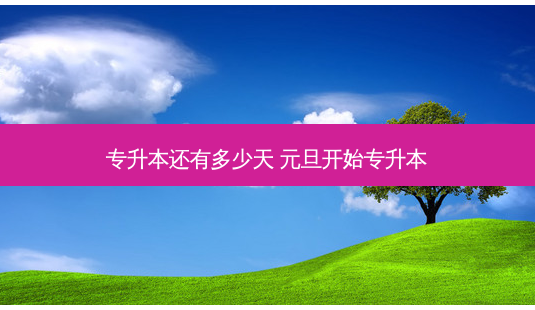 专升本还有多少天 元旦开始专升本-第1张图片-天智网 专升本还有多少天 元旦开始专升本-第1张图片-天智网