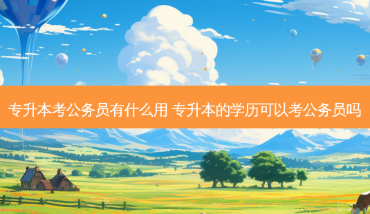 专升本考公务员有什么用 专升本的学历可以考公务员吗-第1张图片-天智网 专升本考公务员有什么用 专升本的学历可以考公务员吗-第1张图片-天智网