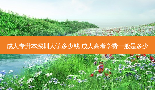 成人专升本深圳大学多少钱 成人高考学费一般是多少-第1张图片-天智网 成人专升本深圳大学多少钱 成人高考学费一般是多少-第1张图片-天智网