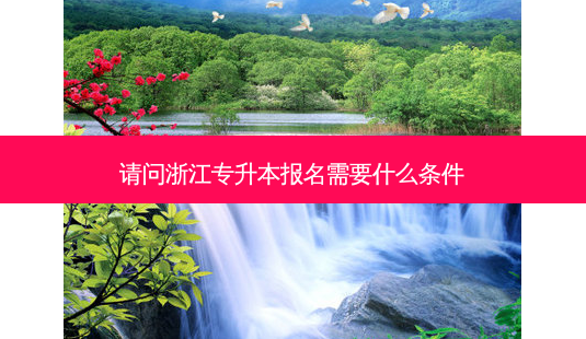 请问浙江专升本报名需要什么条件-第1张图片-天智网 请问浙江专升本报名需要什么条件-第1张图片-天智网