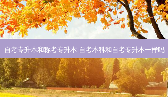 自考专升本和称考专升本 自考本科和自考专升本一样吗-第1张图片-天智网 自考专升本和称考专升本 自考本科和自考专升本一样吗-第1张图片-天智网