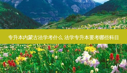 专升本内蒙古法学考什么 法学专升本要考哪些科目-第1张图片-天智网 专升本内蒙古法学考什么 法学专升本要考哪些科目-第1张图片-天智网