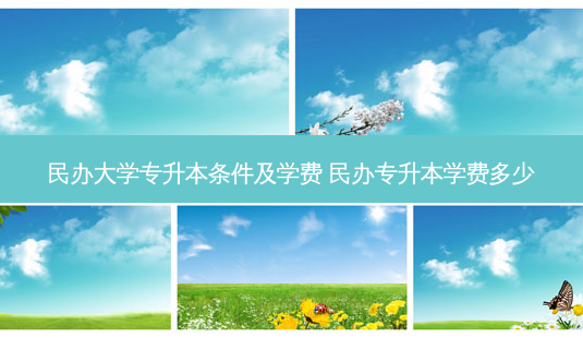 民办大学专升本条件及学费 民办专升本学费多少-第1张图片-天智网 民办大学专升本条件及学费 民办专升本学费多少-第1张图片-天智网