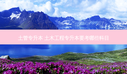 土管专升本 土木工程专升本要考哪些科目-第1张图片-天智网 土管专升本 土木工程专升本要考哪些科目-第1张图片-天智网
