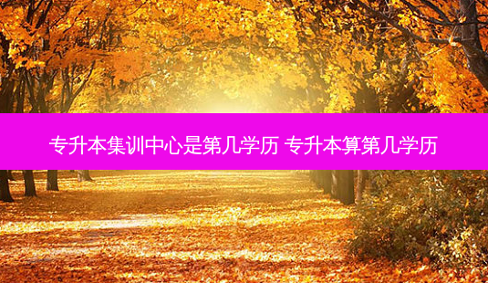 专升本集训中心是第几学历 专升本算第几学历-第1张图片-天智网 专升本集训中心是第几学历 专升本算第几学历-第1张图片-天智网