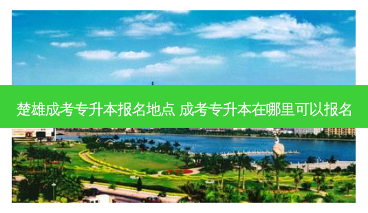 楚雄成考专升本报名地点 成考专升本在哪里可以报名-第1张图片-天智网 楚雄成考专升本报名地点 成考专升本在哪里可以报名-第1张图片-天智网