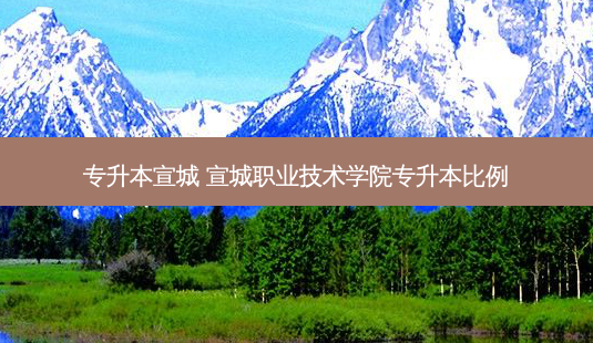 专升本宣城 宣城职业技术学院专升本比例-第1张图片-天智网 专升本宣城 宣城职业技术学院专升本比例-第1张图片-天智网