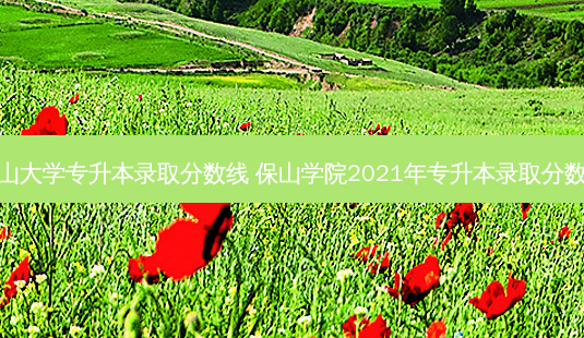 保山大学专升本录取分数线 保山学院2021年专升本录取分数线-第1张图片-天智网 保山大学专升本录取分数线 保山学院2021年专升本录取分数线-第1张图片-天智网
