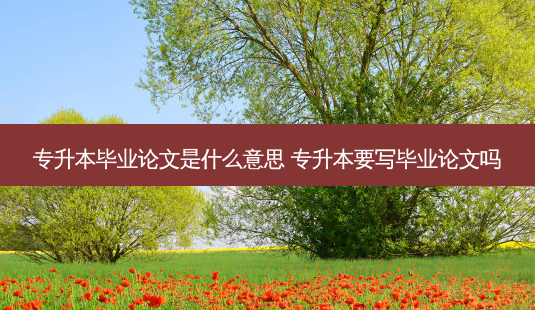 专升本毕业论文是什么意思 专升本要写毕业论文吗-第1张图片-天智网 专升本毕业论文是什么意思 专升本要写毕业论文吗-第1张图片-天智网