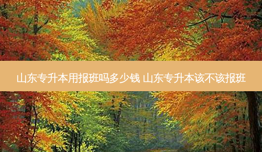 山东专升本用报班吗多少钱 山东专升本该不该报班-第1张图片-天智网 山东专升本用报班吗多少钱 山东专升本该不该报班-第1张图片-天智网