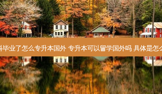 专科毕业了怎么专升本国外 专升本可以留学国外吗 具体是怎么样-第1张图片-天智网 专科毕业了怎么专升本国外 专升本可以留学国外吗 具体是怎么样-第1张图片-天智网