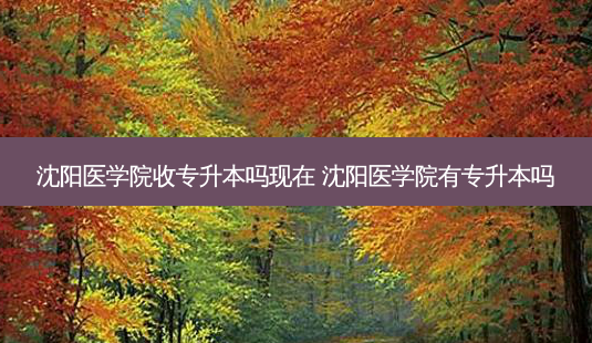 沈阳医学院收专升本吗现在 沈阳医学院有专升本吗-第1张图片-天智网 沈阳医学院收专升本吗现在 沈阳医学院有专升本吗-第1张图片-天智网