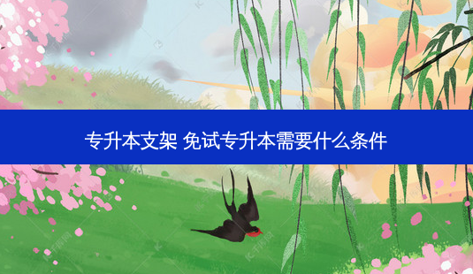 专升本支架 免试专升本需要什么条件-第1张图片-天智网 专升本支架 免试专升本需要什么条件-第1张图片-天智网
