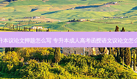 专升本议论文押题怎么写 专升本成人高考函授语文议论文怎么写-第1张图片-天智网 专升本议论文押题怎么写 专升本成人高考函授语文议论文怎么写-第1张图片-天智网