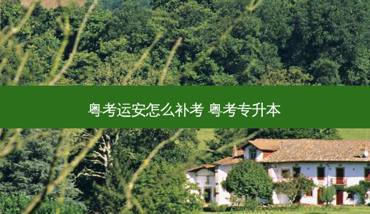 粤考运安怎么补考 粤考专升本-第1张图片-天智网 粤考运安怎么补考 粤考专升本-第1张图片-天智网