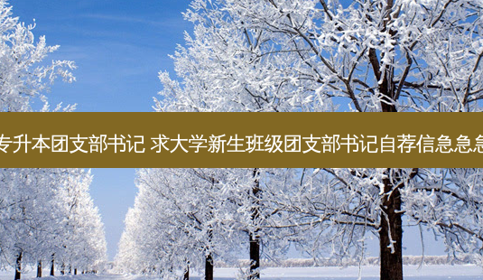 如何建专升本团支部书记 求大学新生班级团支部书记自荐信急急急急急!!!-第1张图片-天智网 如何建专升本团支部书记 求大学新生班级团支部书记自荐信急急急急急!!!-第1张图片-天智网