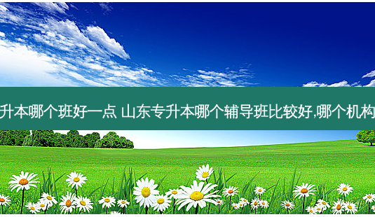 智博专升本哪个班好一点 山东专升本哪个辅导班比较好,哪个机构好些呢-第1张图片-天智网 智博专升本哪个班好一点 山东专升本哪个辅导班比较好,哪个机构好些呢-第1张图片-天智网