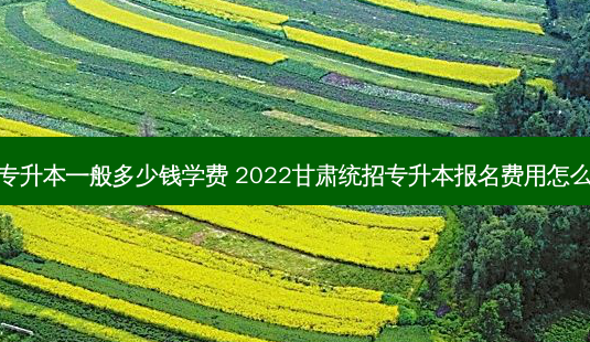 甘肃专升本一般多少钱学费 2022甘肃统招专升本报名费用怎么收费-第1张图片-天智网 甘肃专升本一般多少钱学费 2022甘肃统招专升本报名费用怎么收费-第1张图片-天智网