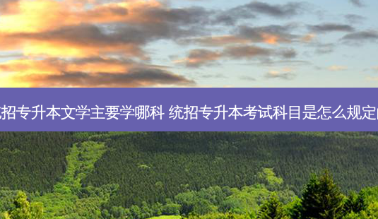 统招专升本文学主要学哪科 统招专升本考试科目是怎么规定的-第1张图片-天智网 统招专升本文学主要学哪科 统招专升本考试科目是怎么规定的-第1张图片-天智网